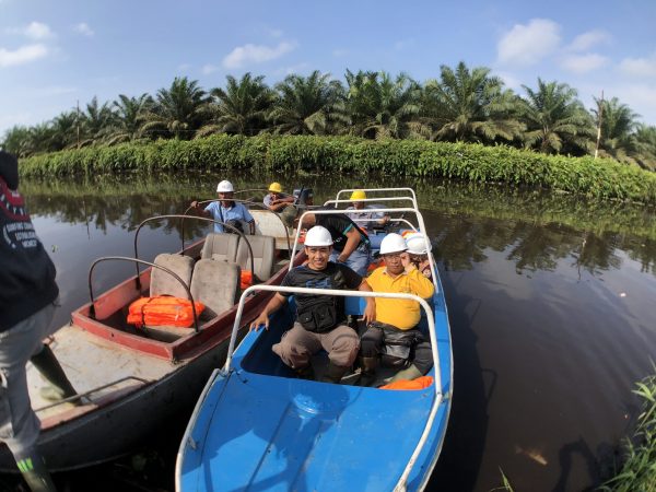 speedboat di tengah perkebunan sawit